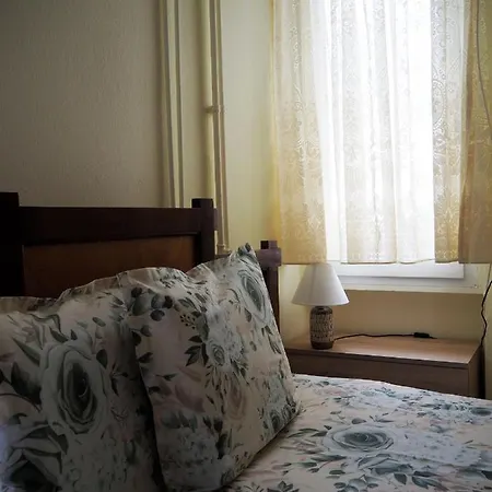 Dimitris Apartmán PalaiónTsiflíkion
