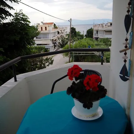 Dimitris Apartment PalaiónTsiflíkion